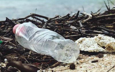 Grieg Star joins Bimco to reduce single-use plastics in shipping